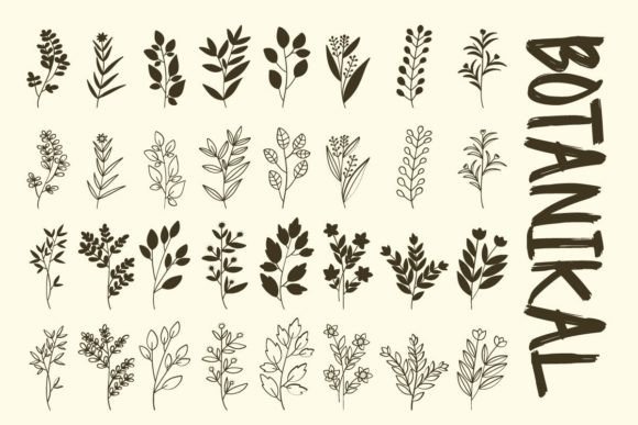 Botanikal: A Botanical Touch for Modern Web Design