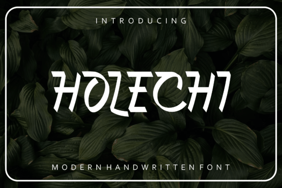 Holechi: A Versatile Slab Serif for Editorial Design