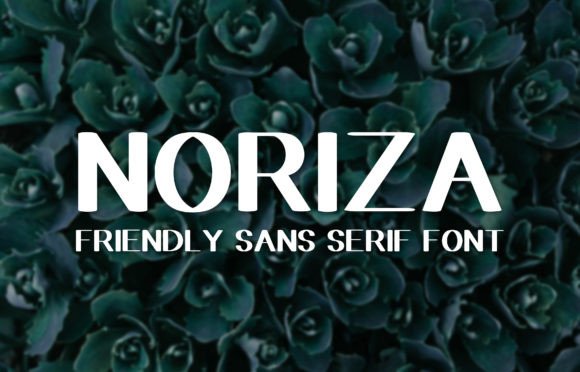 Noriza: A Designer’s Real-World Take