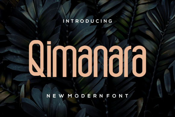 Qimanara: A Modern Sans Serif Font for Campaign Clarity