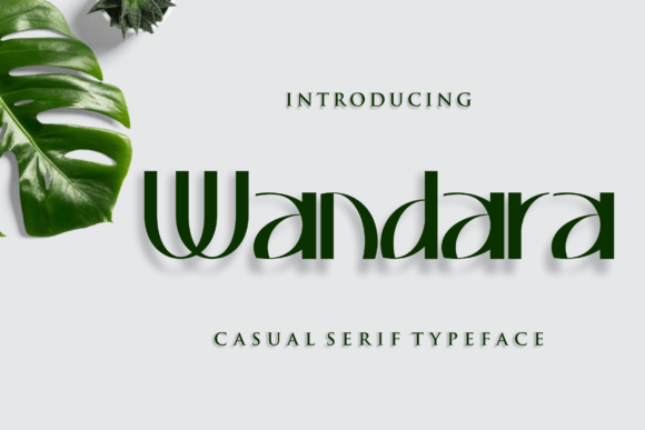 Wandara: A Slab Serif Font That Makes Your Brand Feel Instantly Polished